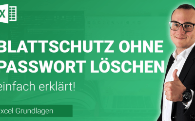 BLATTSCHUTZ OHNE PASSWORT entfernen einfach erklärt
